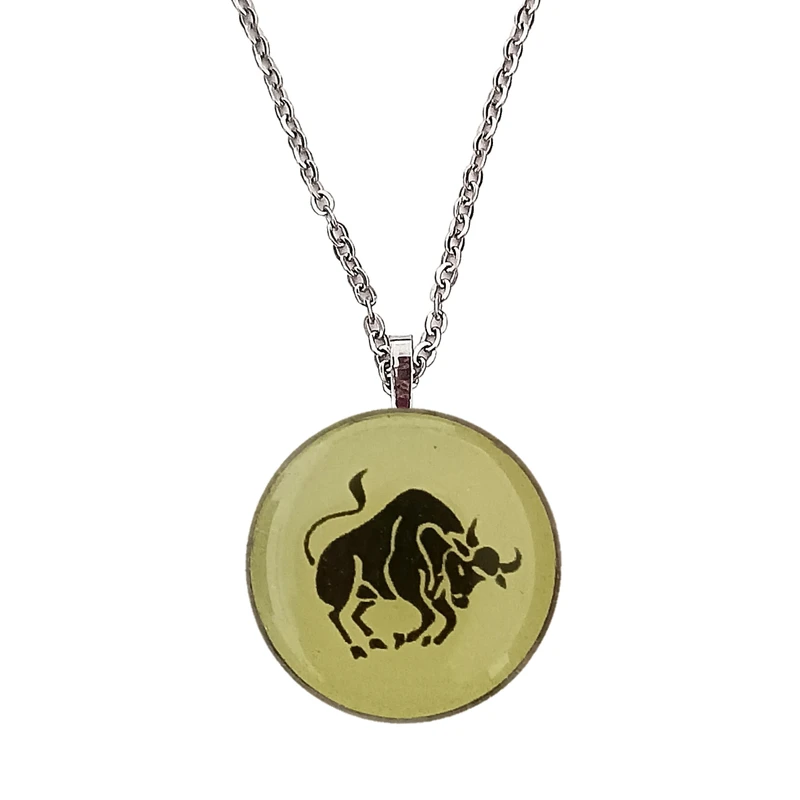 گردنبند مردانه مدل اردیبهشت ماه گاو شبتاب استیل