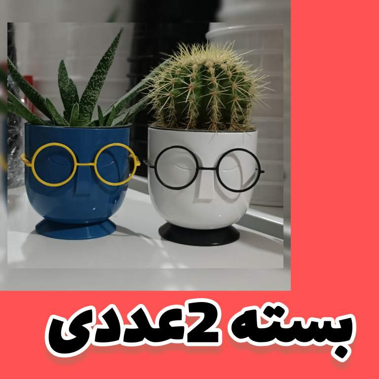 گلدان دکوری مدل عینکی بسته 2 عددی گلدان دکوری مدل عینکی بسته 2 عددی