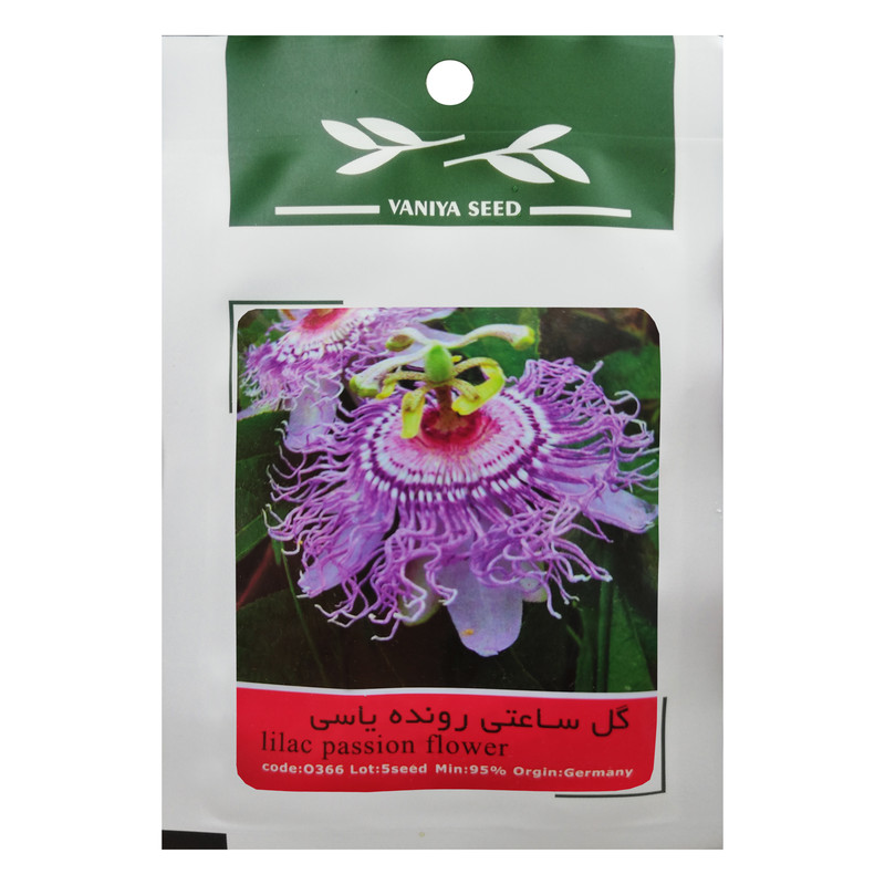 بذر گل ساعتی رونده یاسی وانیا سید مدل O366