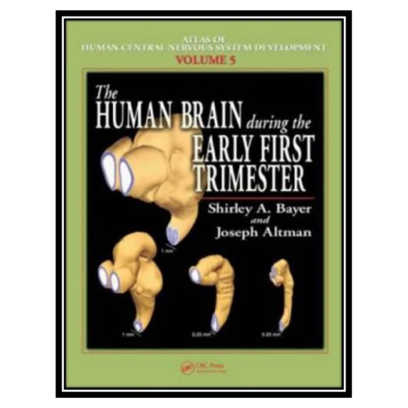 کتاب The Human Brain During the Early First Trimester اثر Shirley A. Bayer and Joseph Altman انتشارات مؤلفین طلایی