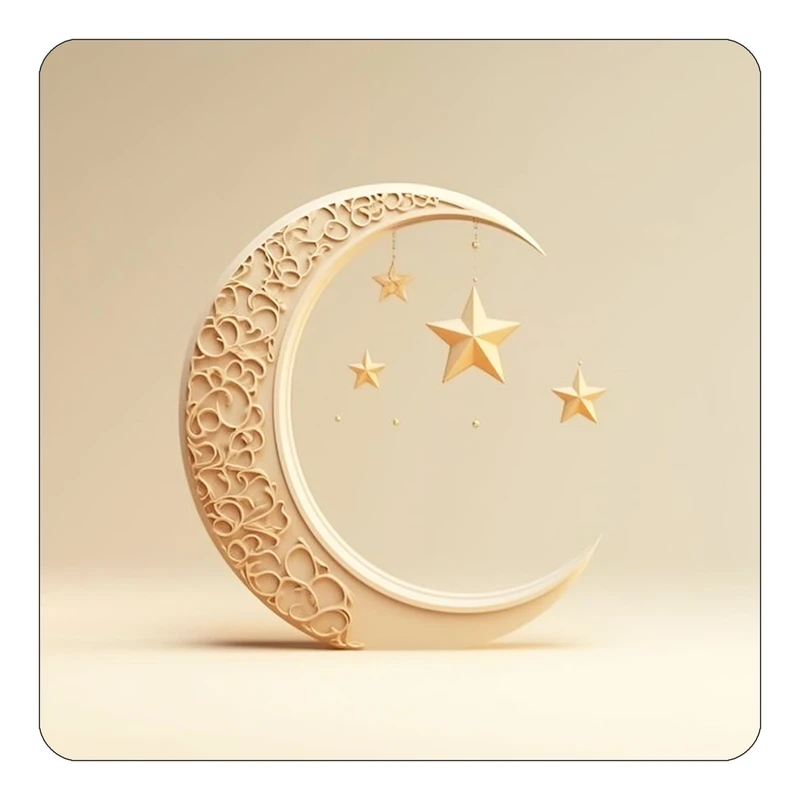 مگنت کاکتی طرح ماه و ستاره مدل mp53025