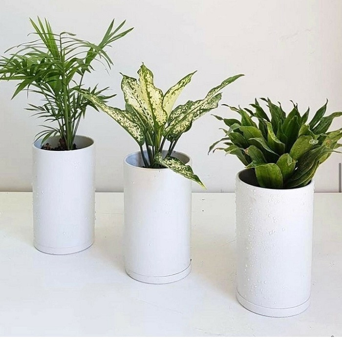 گلدان طرح استوانه مدل 15 گلدان طرح استوانه مدل 15