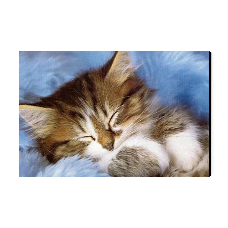 تابلو شاسی عرش مدل فانتزی گربه بامزه کد As3056