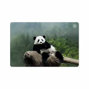 MAHOOT Panda Cover Sticker for Samsung Galaxy Tab S5e 10.5 2019 T725