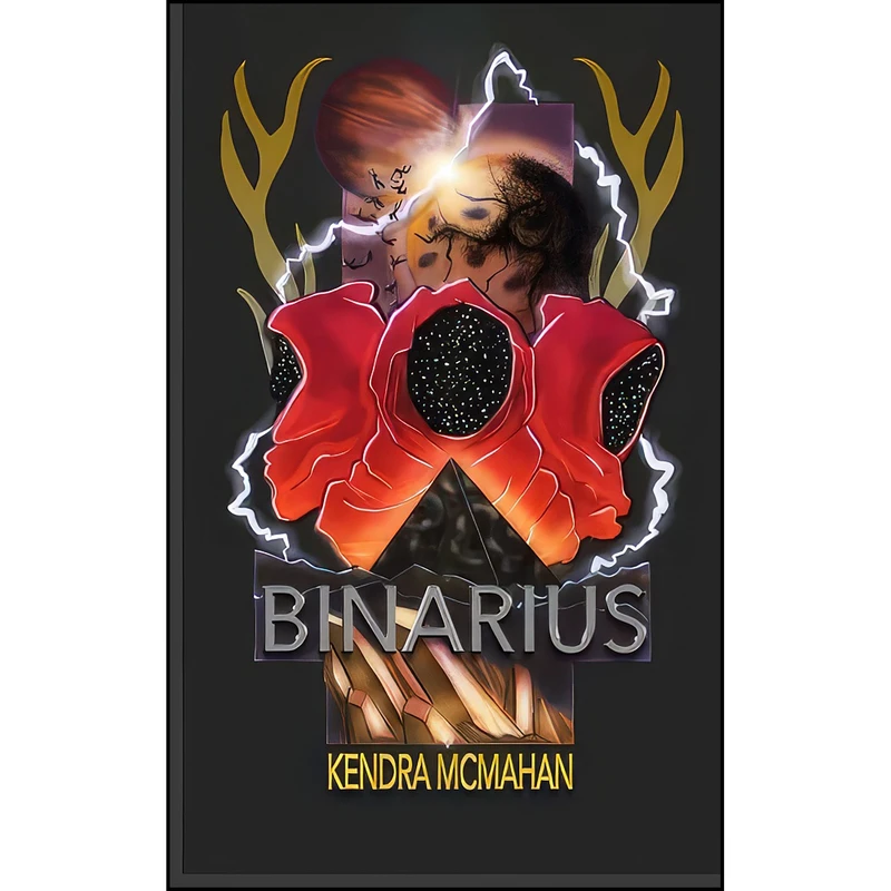 کتاب Binarius  اثر Kendra McMahan انتشارات تازه ها