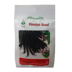بذر لوبیا سیاه وانیا سید کد I58