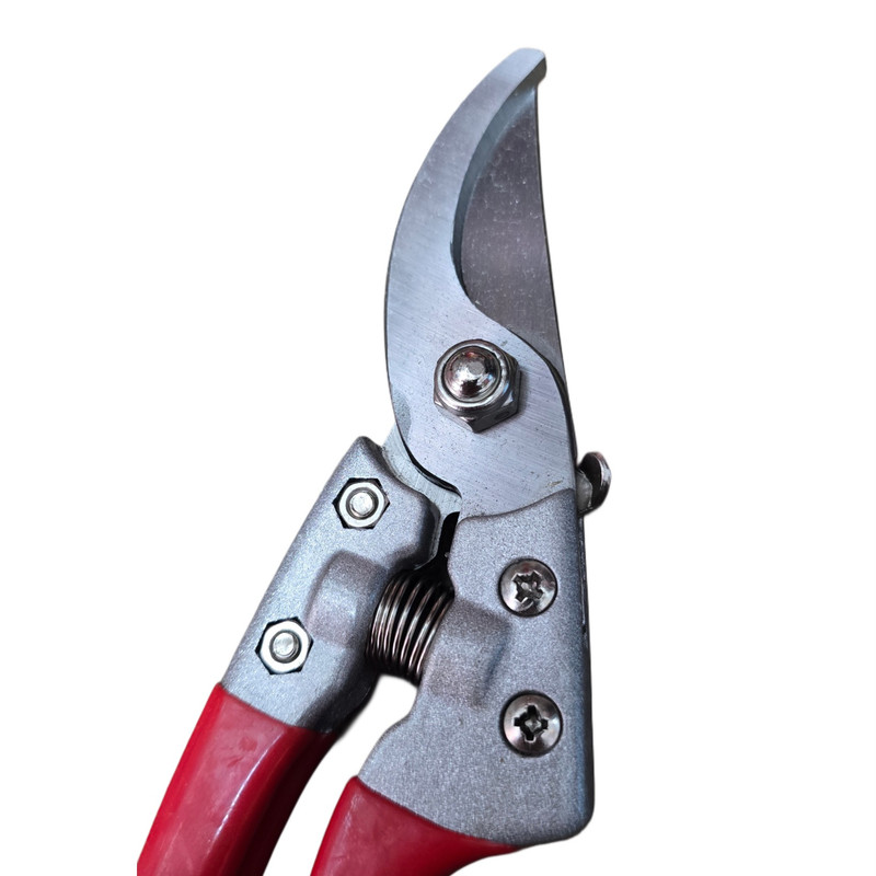 قیچی باغبانی مدل آرس