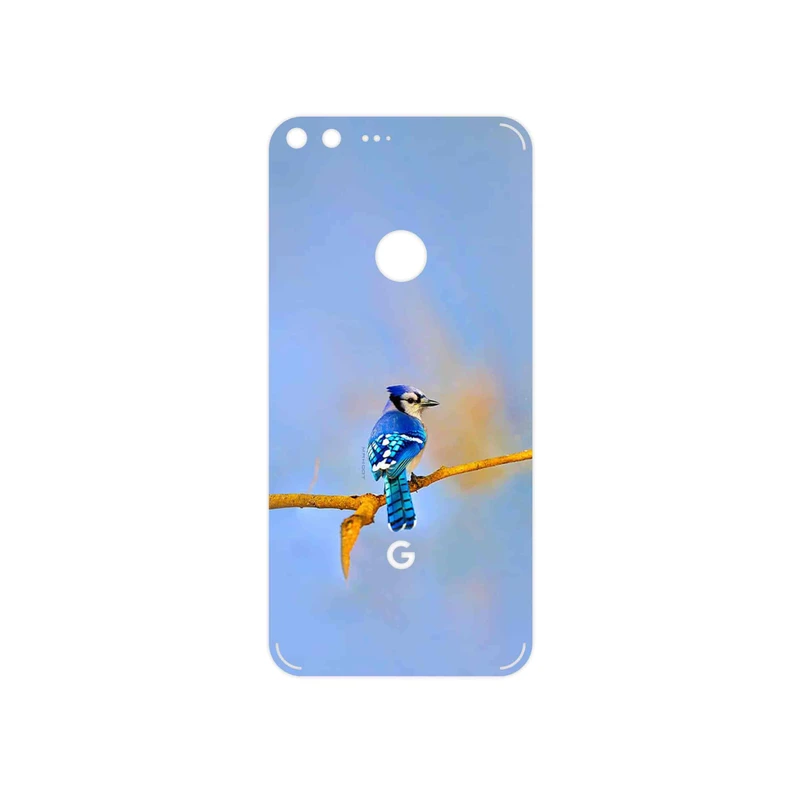 برچسب پوششی ماهوت مدل Cyanocitta cristata مناسب برای گوشی موبایل گوگل Pixel XL