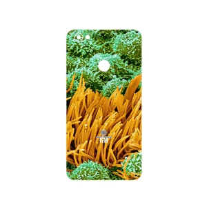 MAHOOT Atom Universe 6 Cover Sticker for Xiaomi Redmi Note 5A Prime