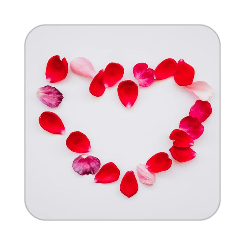 زیر لیوانی کاکتی طرح گل مدل mp18882