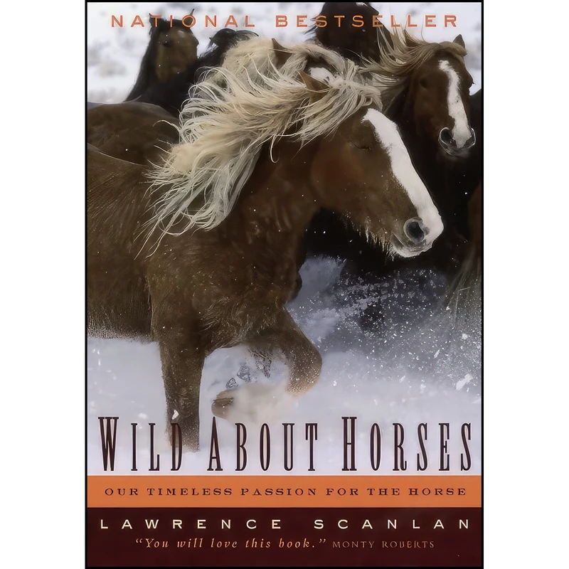 کتاب Wild About Horses اثر Lawrence Scanlan انتشارات Random House of Canada, Limited