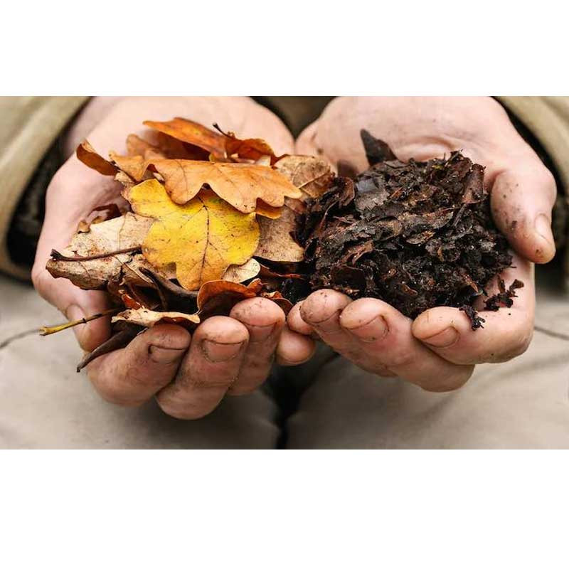 برگ پوسیده شده سرزمین خاک مدل BA10 حجم 10 لیتر برگ پوسیده شده سرزمین خاک مدل BA10 حجم 10 لیتر