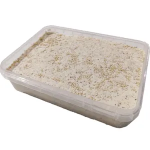 حلوای معجون شادن - 500 گرم