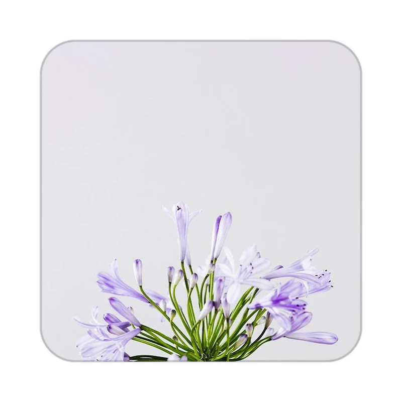 زیر لیوانی کاکتی طرح گل مدل mp18549