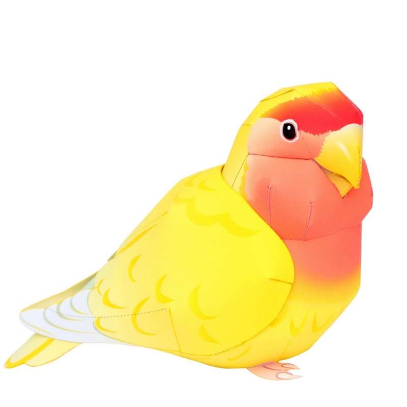 ماکت مدل مرغ عشق کد H58