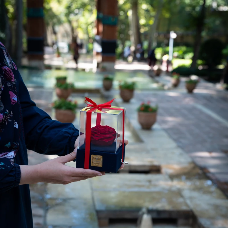 عکس شماره 6 : جعبه موزیکال دکوفیوره مدل رز جاودان ملودی عاشقانه love