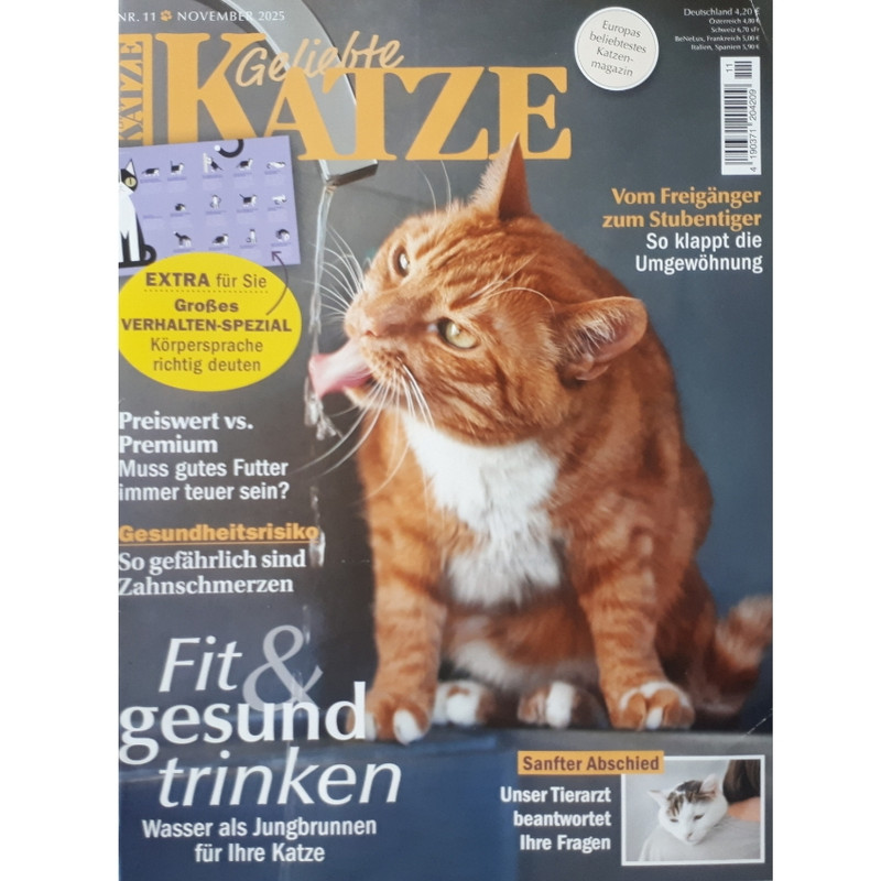 مجله KATZE نوامبر 2025