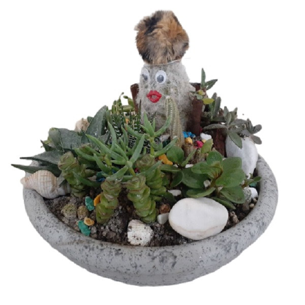 گل طبیعی کاکتوس مدل عروسکی گل طبیعی کاکتوس مدل عروسکی