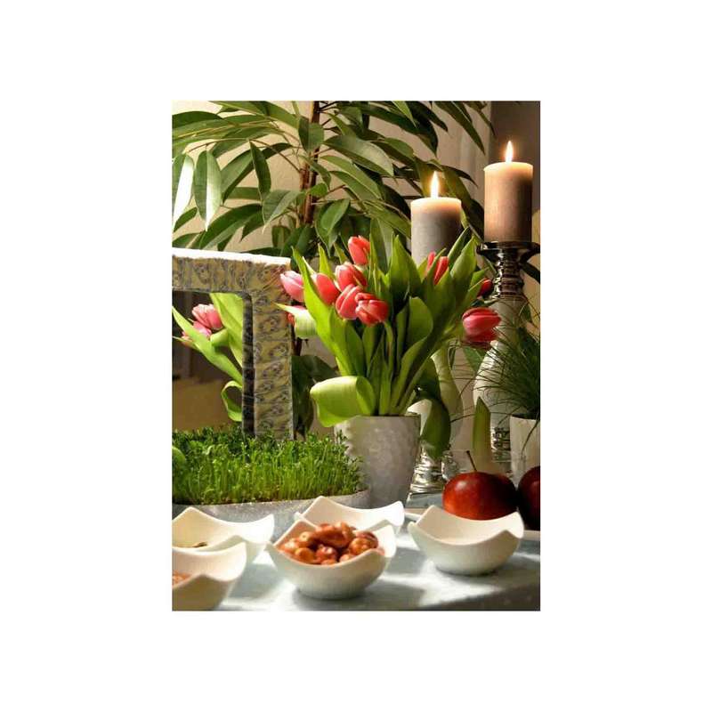 کارت پستال رادکس طرح تبریک سال نو مدل s1513