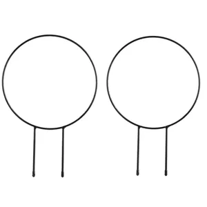  قیم نگهدارنده پتوس مدل گرد بسته 2 عددی