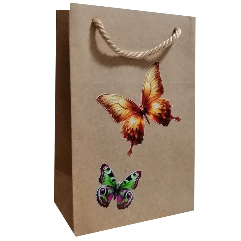 پاکت هدیه مدل پروانه و جشن مجموعه 6 عددی