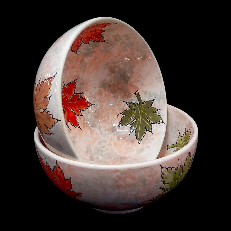 کاسه مدل پاییزی بسته 6 عددی