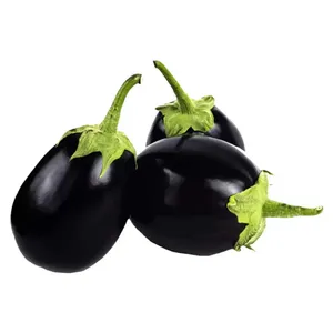 بادمجان دلمه ای درجه یک - 1 کیلوگرم