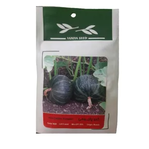 بذر کدو پای رومی وانیا سید کد w28