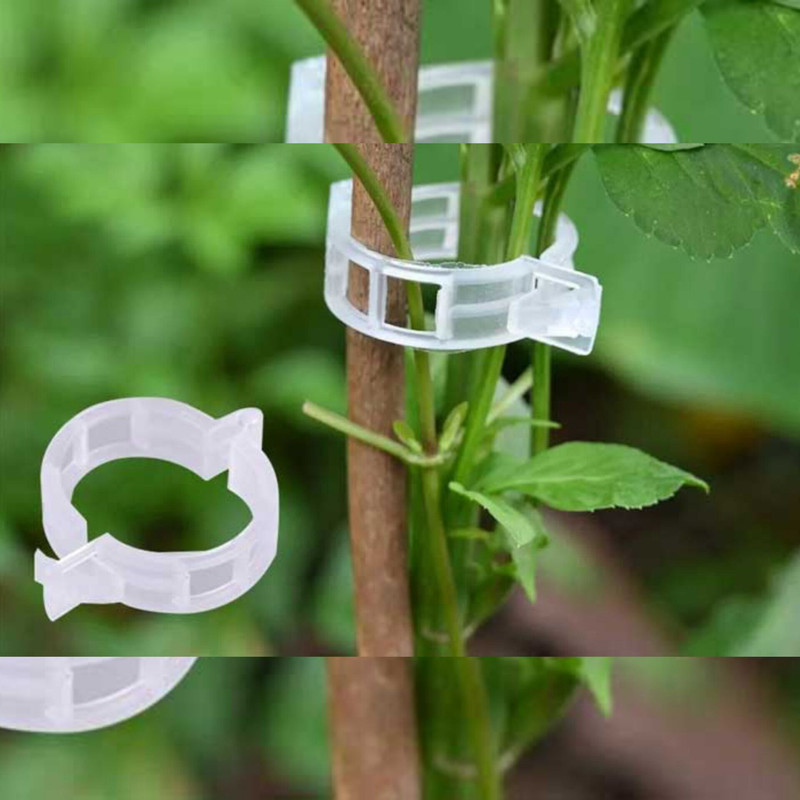 بست نگهدارنده بوته مدل گلخانه ای بسته 50عددی