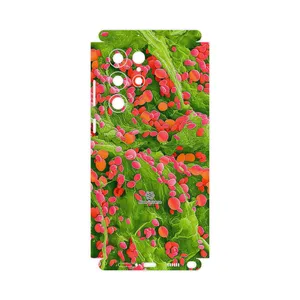MAHOOT Atom Universe 3-FullSkin Cover Sticker for Samsung Galaxy S22 Ultra 5G