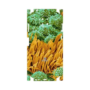 MAHOOT Atom Universe 6-FullSkin Cover Sticker for Nokia G10