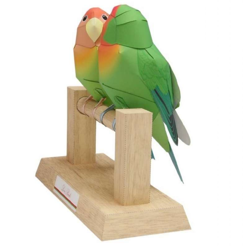 کیت آموزشی مدل ساخت پازل 3 بعدی طرح طوطی برزیلی