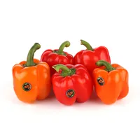فلفل دلمه رنگی Fresh وزن 500 گرم