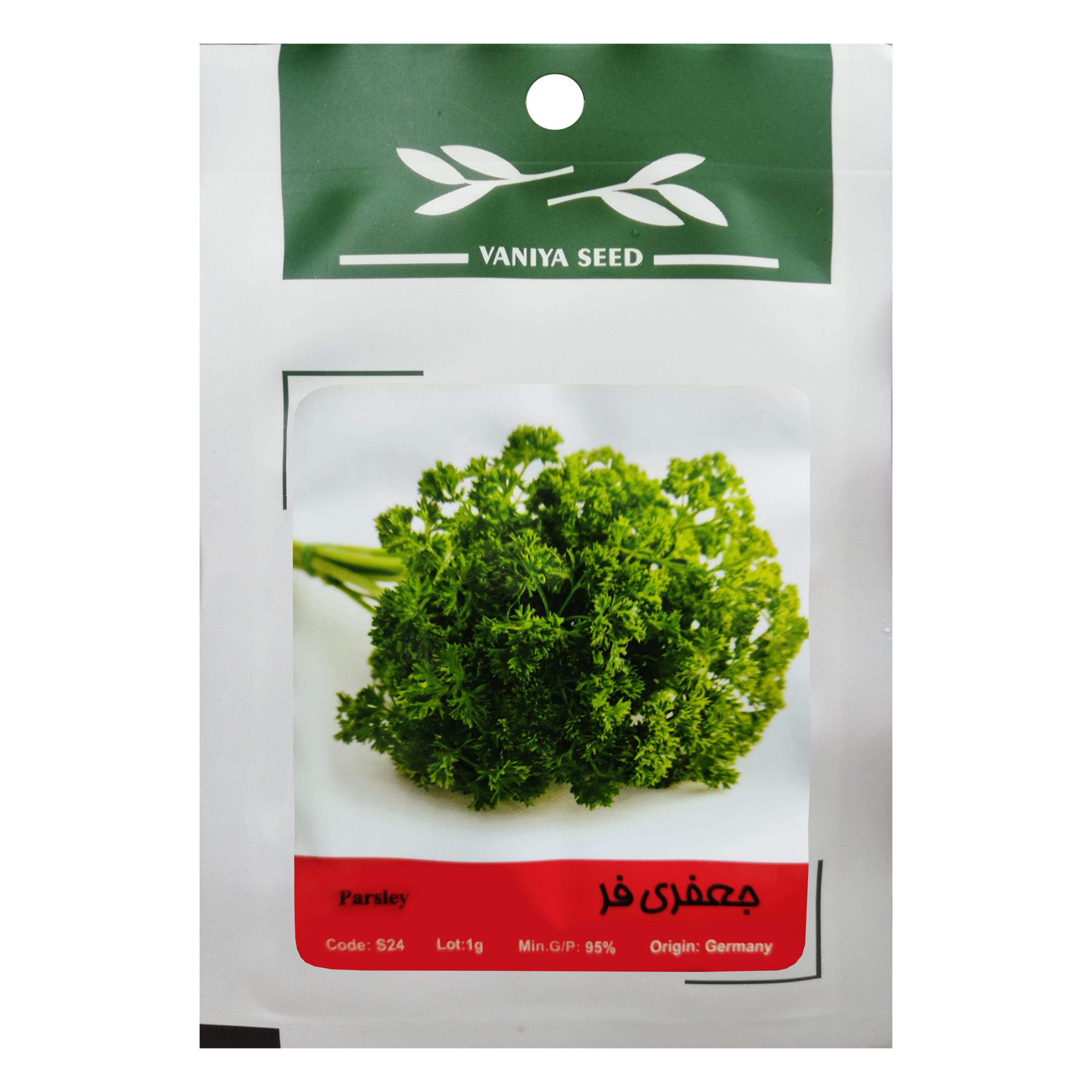 بذر جعفری فر وانیا سید مدل S24