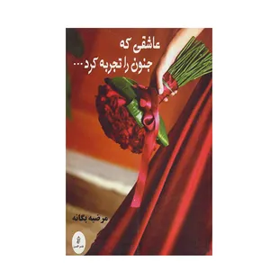 کتاب عاشقی که جنون را تجربه کرد اثر مرضیه یگانه انتشارات البرز