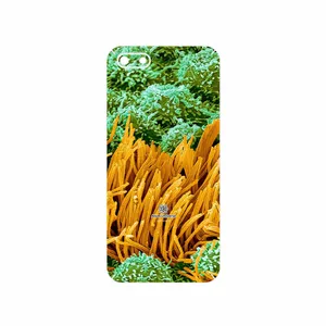 MAHOOT Atom Universe 6 Cover Sticker for Huawei Y5 Lite