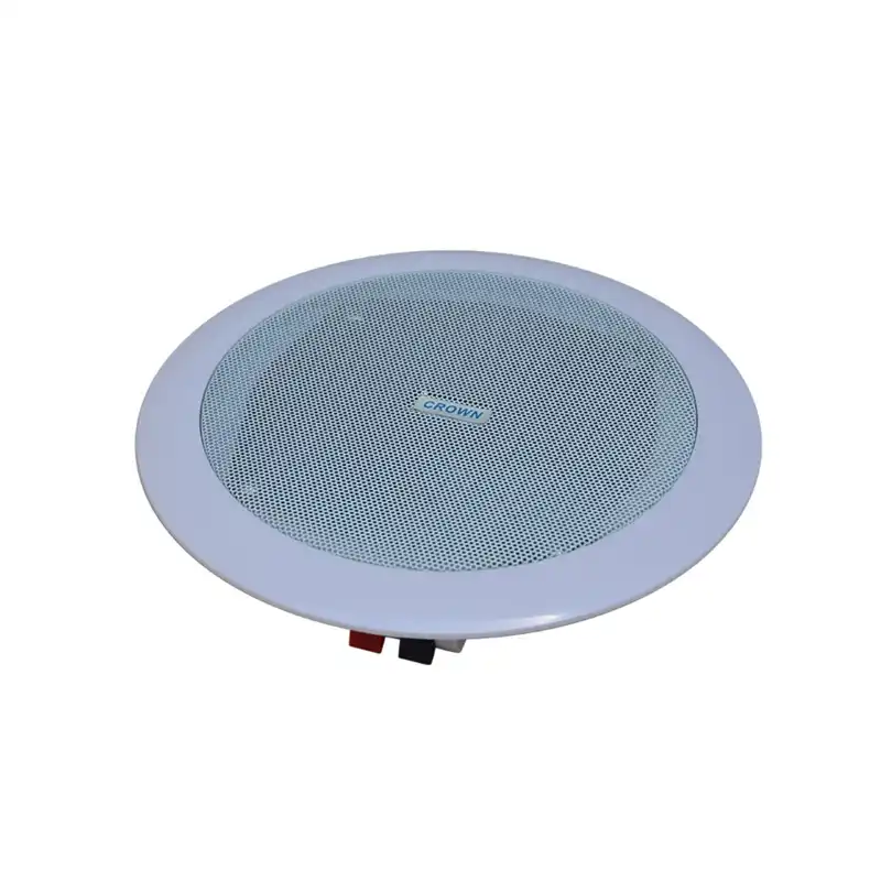 بلندگو سقفی كرون کد 106