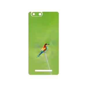 MAHOOT European bee-eater Cover Sticker for GLX Pars