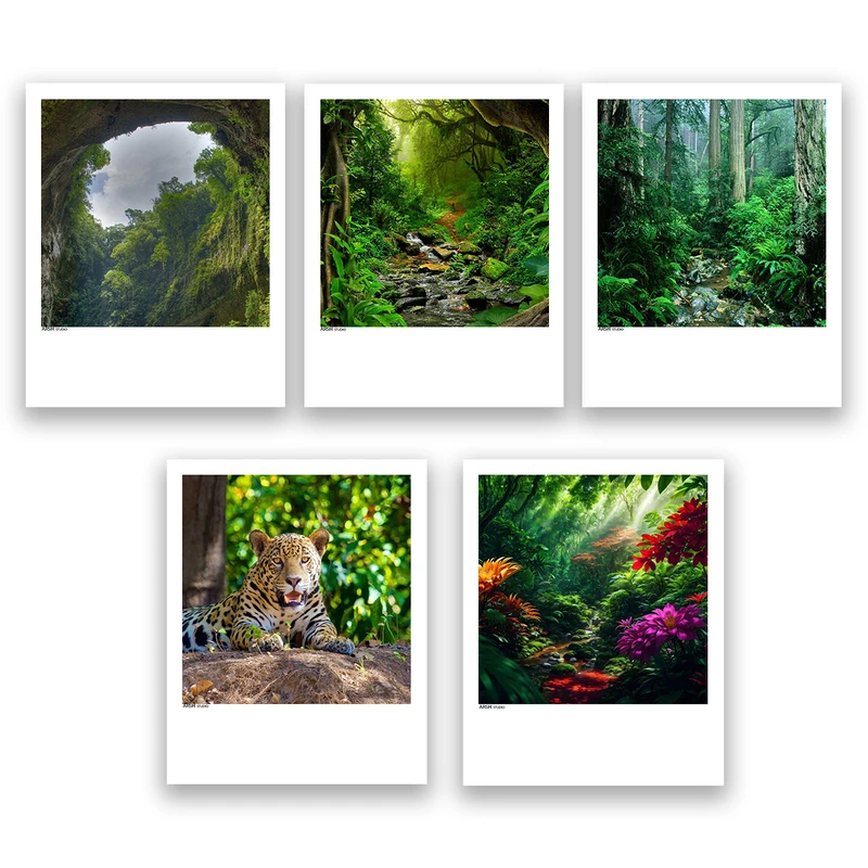 آویز تزیینی عرش مدل منظره جنگل کد Asa065 مجموعه 5عددی 