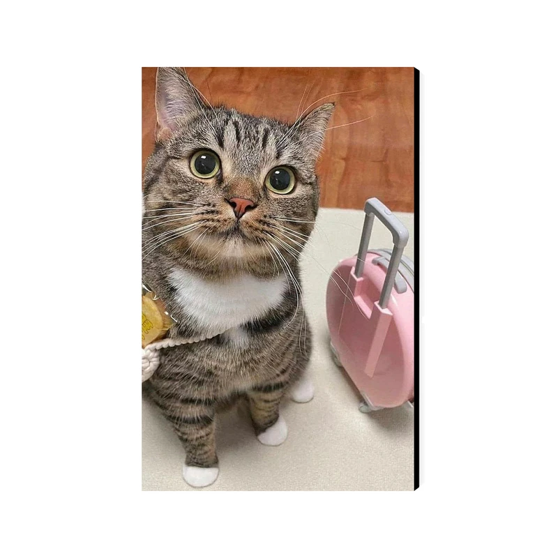 تابلو شاسی عرش مدل فانتزی گربه کد As3106