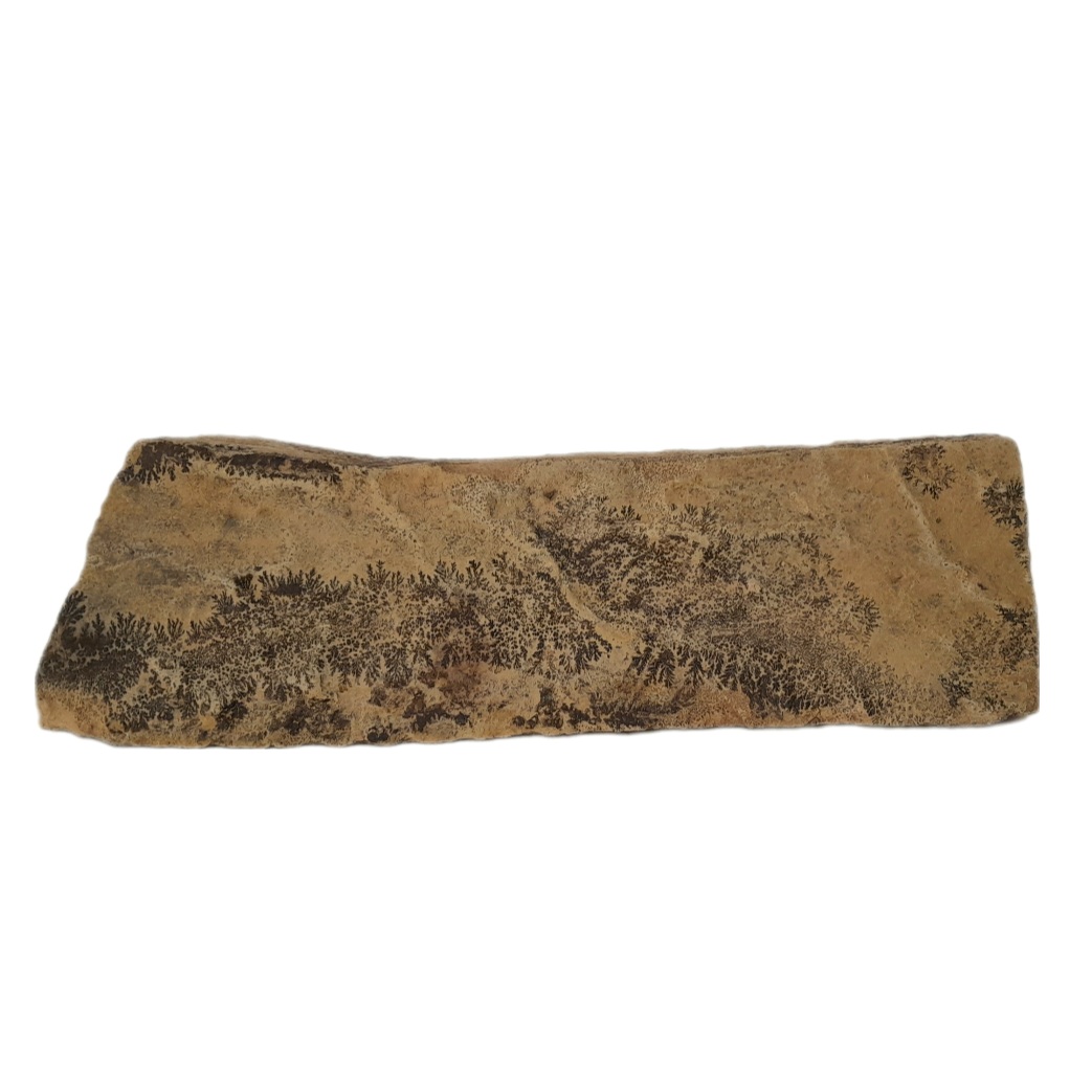 سنگ راف شجر مدل فسیلی کد 152