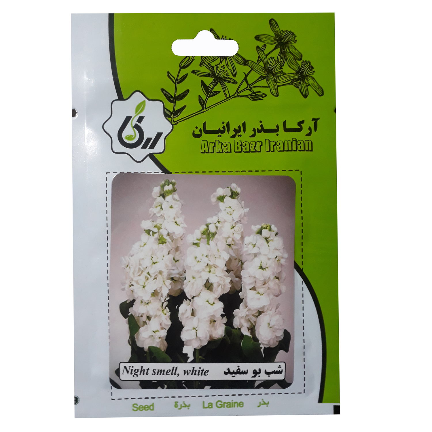 بذر گل شب بو سفید آرکا بذر ایرانیان کد A46