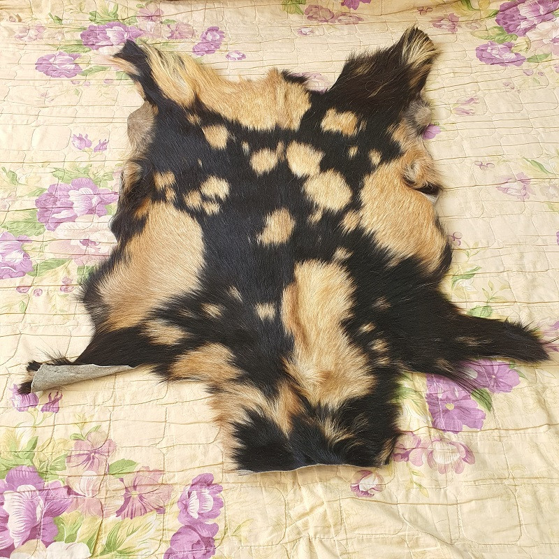 فرش پوست مدل طبیعی Nixo 8116