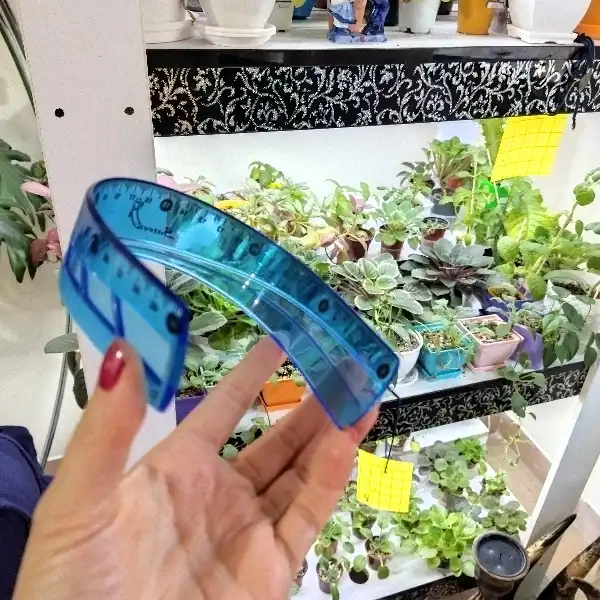 خط کش ۳۰ سانتی متری ستاره کد bkh1