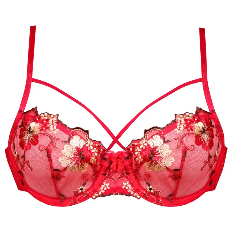 سوتین زنانه کارنا رز مدل گیپور کد 3388-1 رنگ قرمز