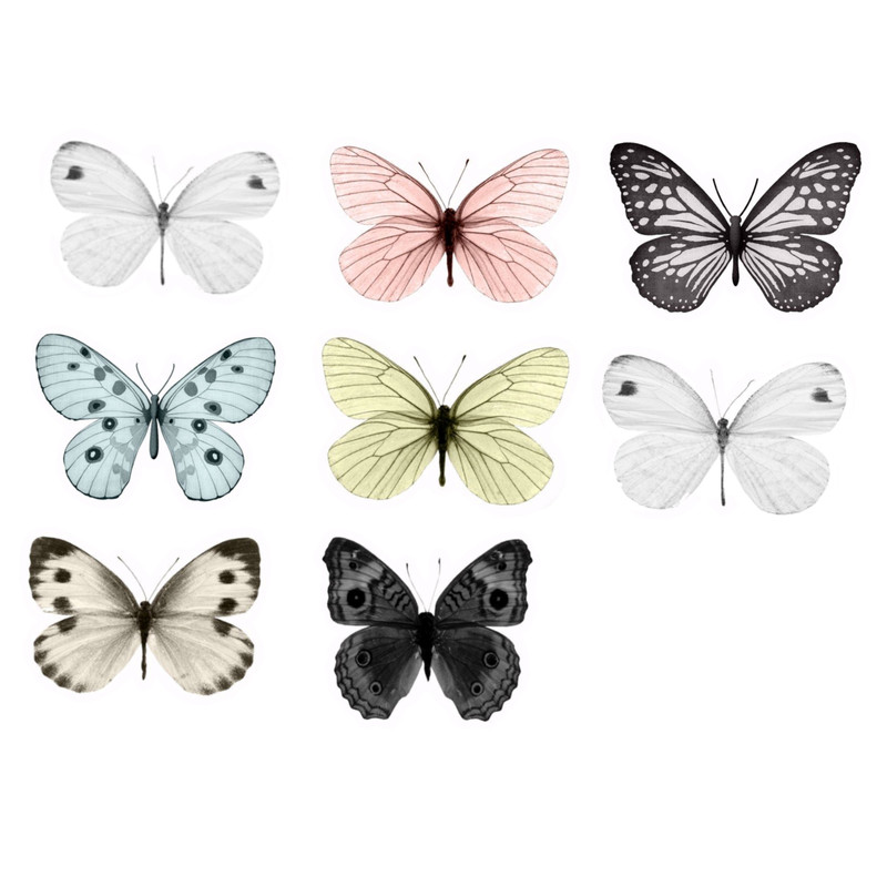 برچسب مدل پروانه مجموعه 8 عددی