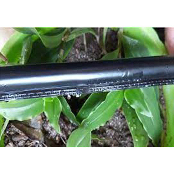 نوار آبیاری قطره ای مدل 10cm طول 1000 متر نوار آبیاری قطره ای مدل 10cm طول 1000 متر