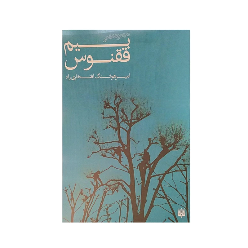 کتاب بیم ققنوس اثرامیرهوشنگ افتخاری راد نشر پیدایش