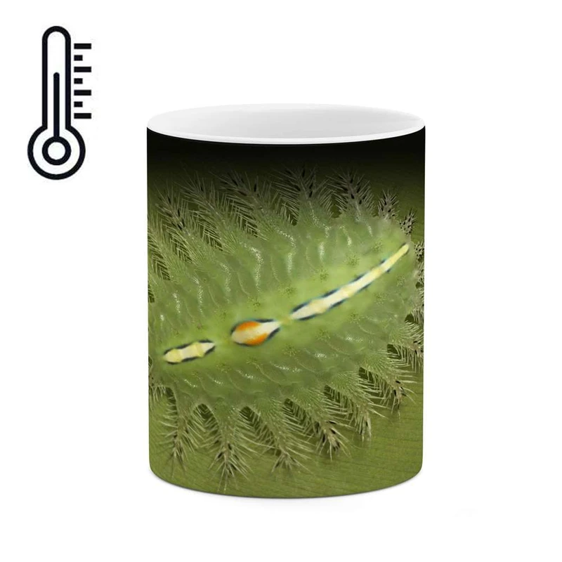 ماگ حرارتی کاکتی مدل حشره کد mgh17691