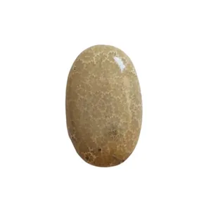 سنگ مرجانی کد 008